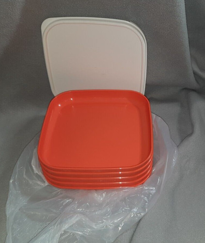 Tupperware picknick teller - 4,