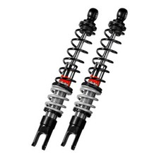 Pair of shock absorbers BITUBO