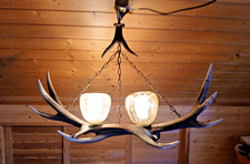 Echte Geweihlampe mit 2