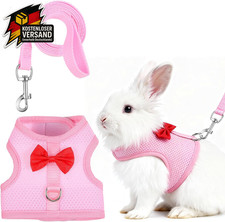 Kaninchen Leine Zubehör