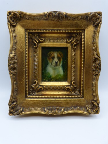 Dänischer bauernhund - bauernhund, –