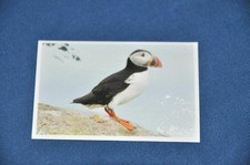 REWE ABENTEUER TIERWELT