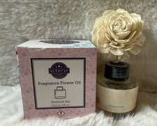 Starburst Sky Dahlia Darling