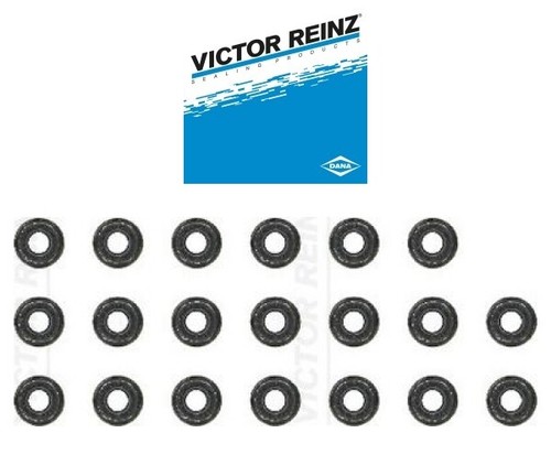 Victor reinz dichtungssatz - victor,