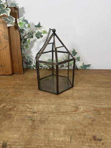 Glas sechseck terrarium für - glas,