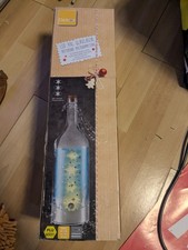 LED Glasflasche  XXL Lampe