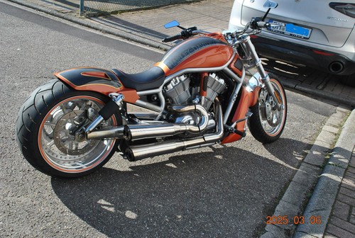 Harley davidson vrod umbau - davidson,