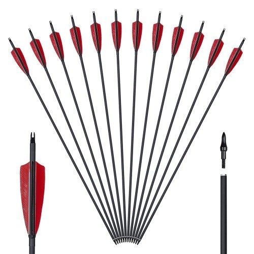 Carbon pfeile zoll 12er - 30,