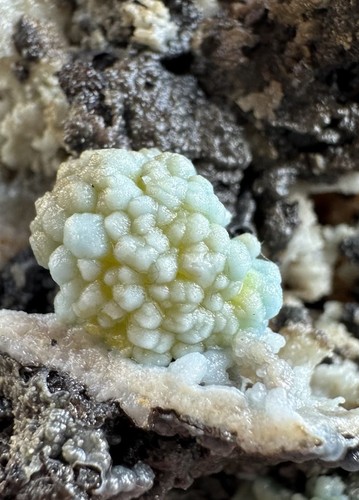 Seltene plumbogummit nach - seltene,