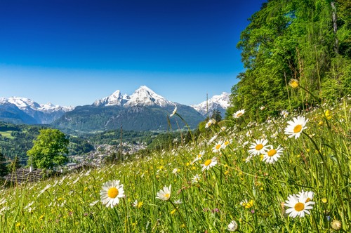 Wandbild panoramablick auf - wandbild:,
