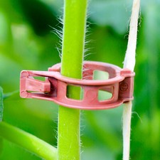 BIO-Tomatenclips