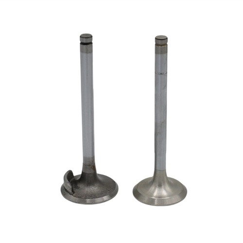 Ventilsatz einlass - ventilsatz, +