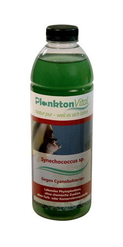 Planktonvital phytoplankton - planktonvital,
