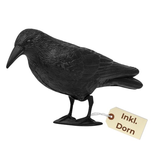 Taubenabwehr vogelabwehr - taubenabwehr,