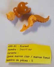Kinder - Tiere - Eichhörnchen