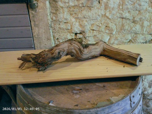 Weinstock herbstdeko holz - weinstock,