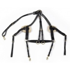 John Whitaker Valencia 5-Punkt