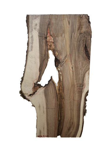 Nussbaum ast bohle brett - nussbaum,
