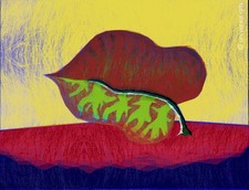 MARIO STRACK - Aesthetics 2