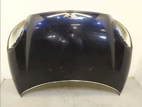 Motorhaube mini countryman - motorhaube,