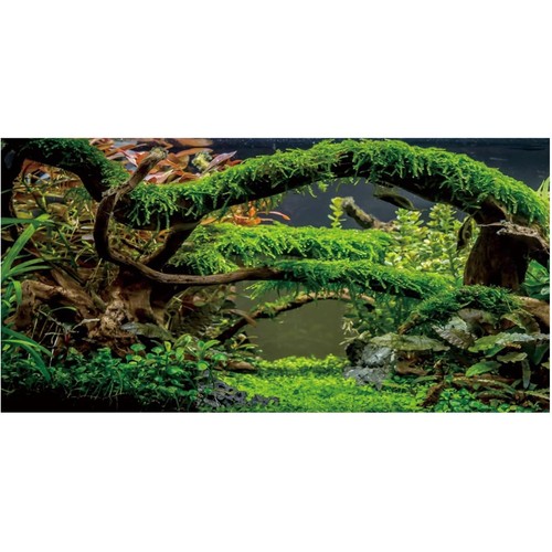 Aquarium hintergrund vinyl - aquarium,