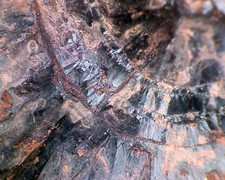 Harz Minerale  roter Glaskopf   Bad Lauterberg In Dose 40 mm v. 1977 Nr. 60g