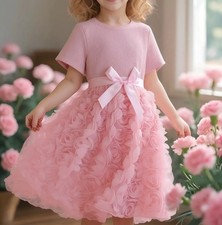 Neuankömmling 2025 -Sommer