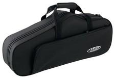 Robuster Altsaxophon