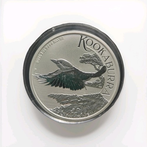 2026 australian kookaburra - 2026, 1