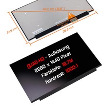 15,6" LED Display matt Ersatz