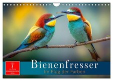 Bienenfresser - im Flug der