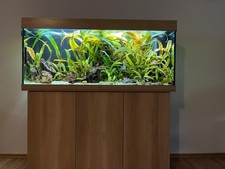 Juwel Rio 240 LED mit Unterschrank, helles Holz 