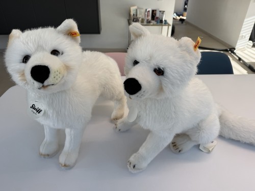 Steiff studio polarfuchs - steiff,
