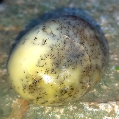 Opalit opal dendritenopal - opal,