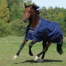 Bucas Irish Turnout Light