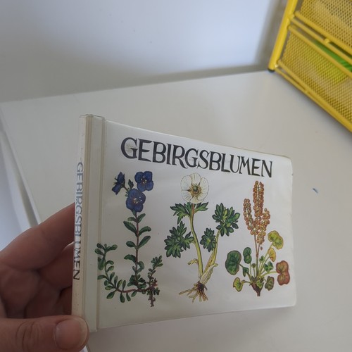 Gebirgsblumen skandinavien - gebirgsblumen,