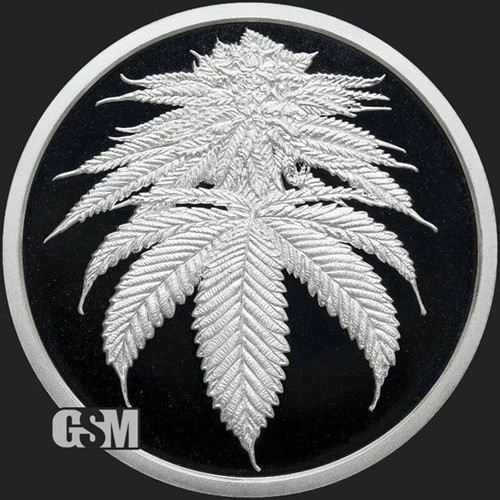 Gsm silver shield - silver,