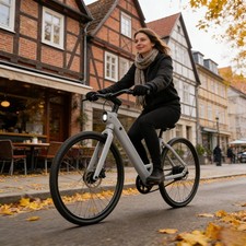 27.5'' Ebike Elektrofahrrad