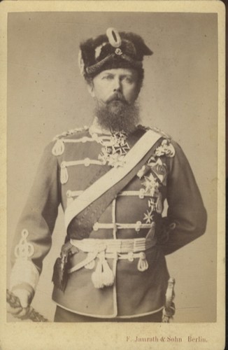 Cabinet foto friedrich carl - foto,