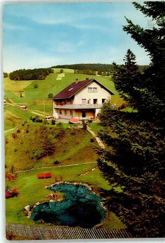 51862783 7868 todtnau - -,