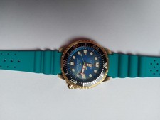 Citizen Taucher Uhr Herren, WR