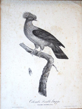 Seltener antiker Pauline de