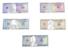 50pc - Dollar Design mylar