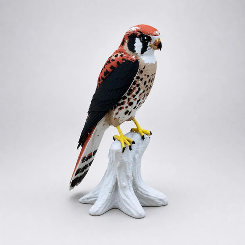 American kestrel turmfalke - american, –
