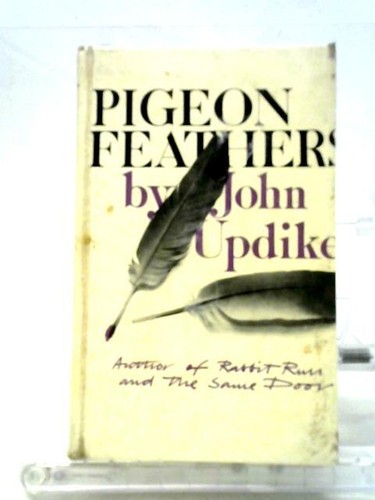 Pigeon feathers and other - pigeon,