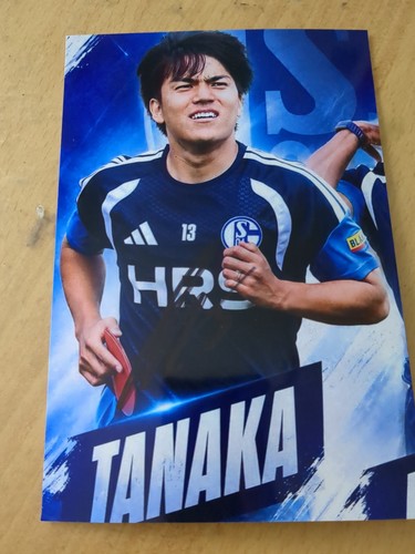 Satoshi tanaka orginales - tanaka.,