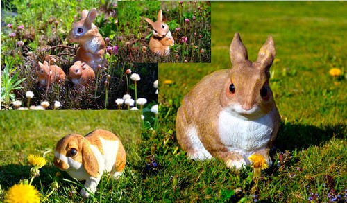 Muwse hase kaninchen 100 - muwse, 100%