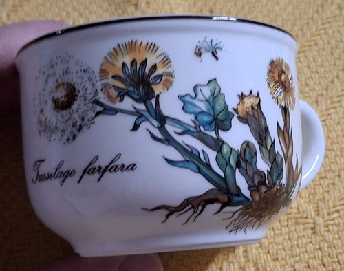 Villeroy boch botanica - boch,