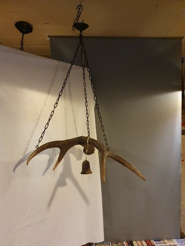 Geweihleuchter geweihlampe - geweihleuchter,