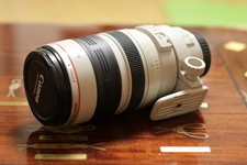 Canon EF 100-400mm f/4.5-5.6L